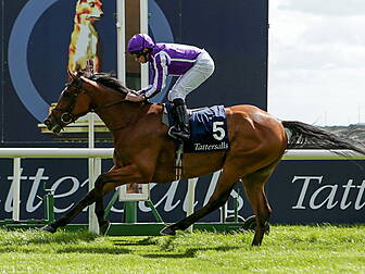 O'Brien announces plans for hi...